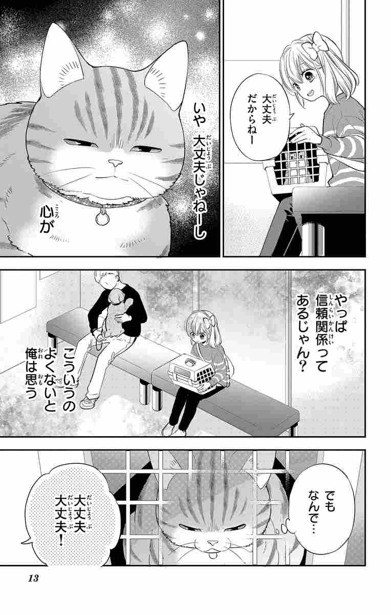 ねこ はじめました ９ 環方このみ 試し読みあり 小学館コミック