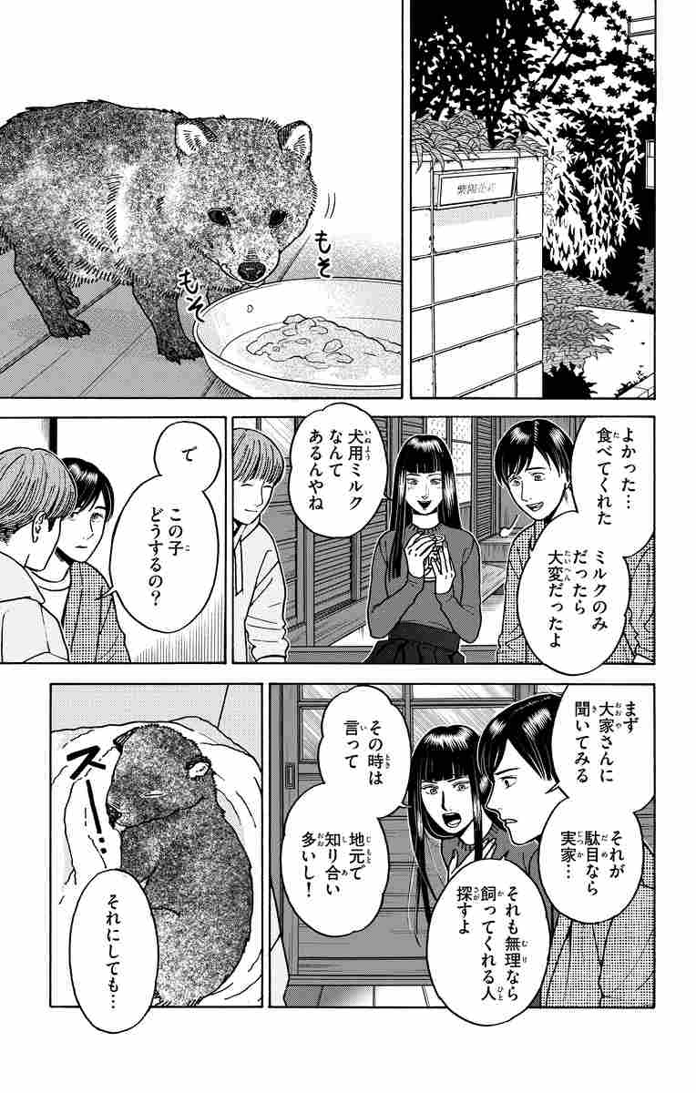 数字であそぼ ７ 絹田村子 試し読みあり 小学館コミック