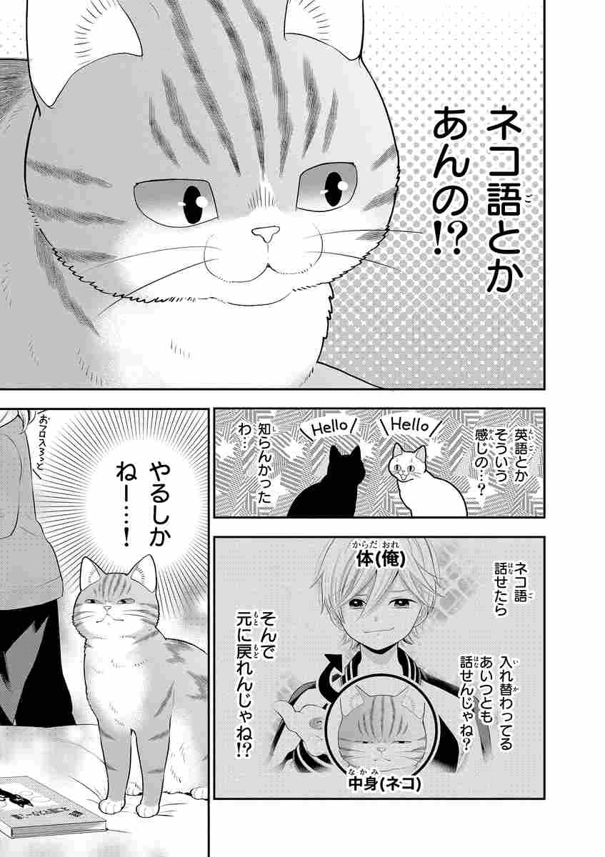 ねこ はじめました なんでか今日もねこぐらし 環方このみ 試し読みあり 小学館コミック