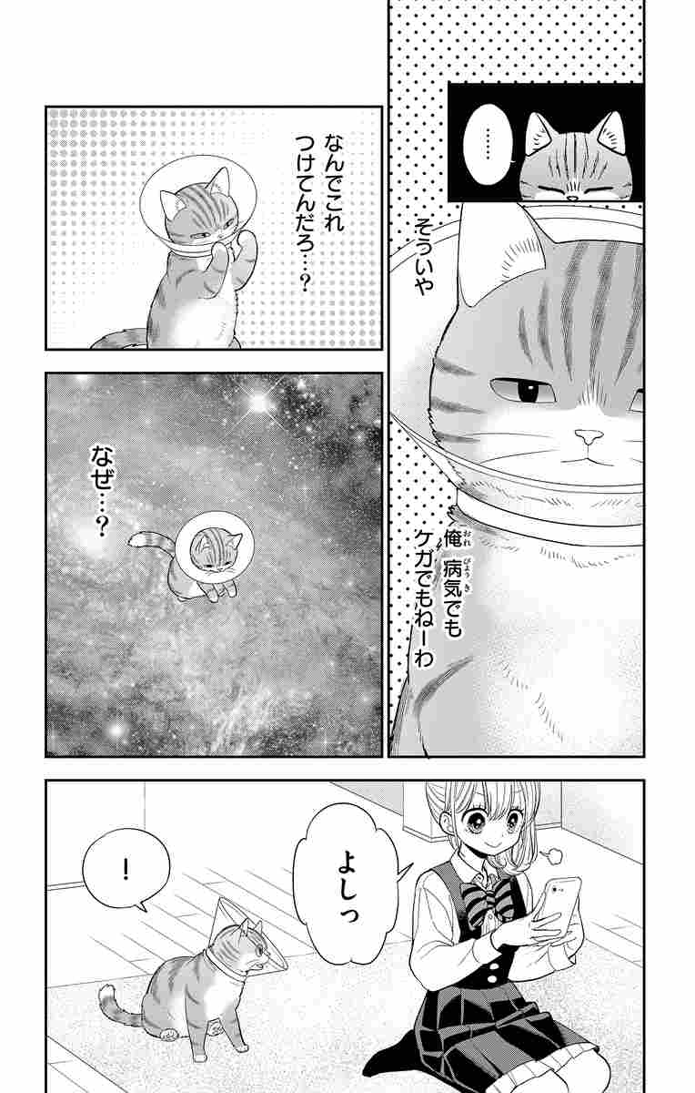 ねこ はじめました １０ 環方このみ 試し読みあり 小学館コミック