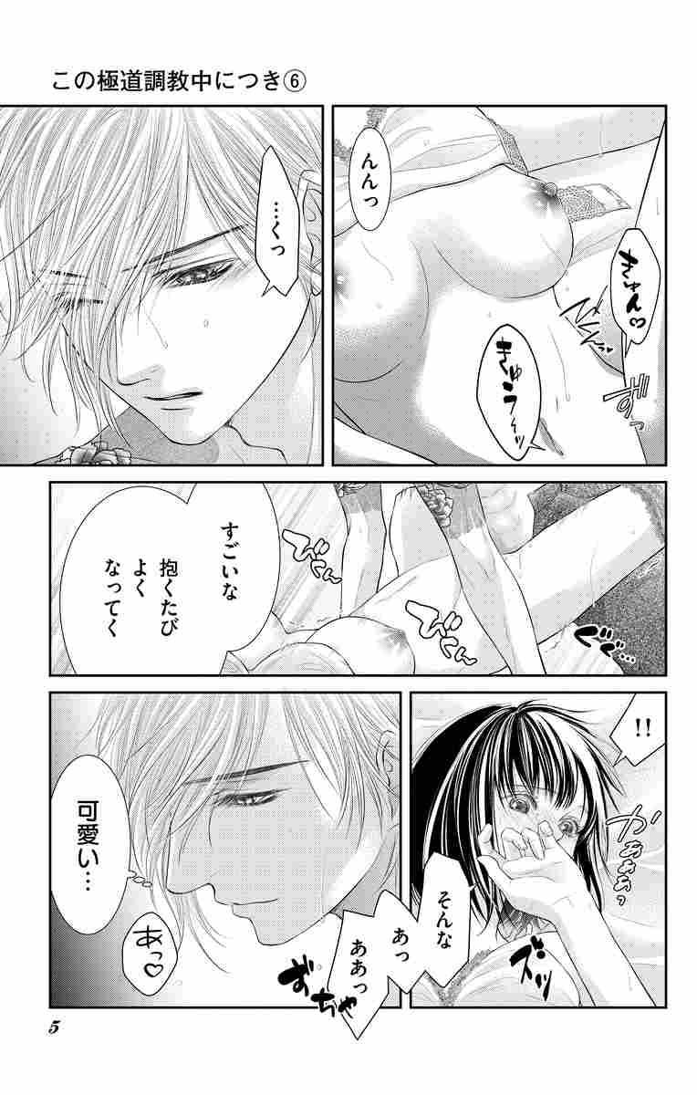 調教 この極道調教中につき ６ | 夜神里奈 | 【試し読みあり】 – 小学館コミック