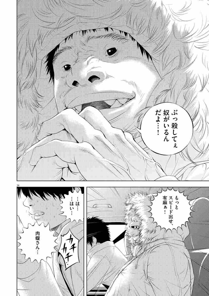 闇金ウシジマくん外伝 肉蝮伝説 1 真鍋昌平 速戸ゆう 試し読みあり 小学館コミック 闇金ウシジマくん外伝 肉蝮伝説 1 真鍋昌平 速戸ゆう 試し読みあり 小学館コミック