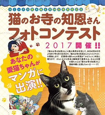 「猫のお寺の知恩さんフォトコンテスト」開催!!