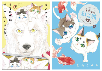 藤あや子氏も推し！『うちの犬が子ネコ拾いました。』8巻発売!!